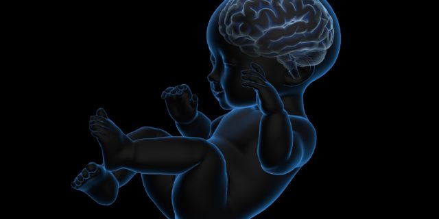Valutazione dell'osso nasale nel primo trimestre di gravidanza come screening per le aneuploidie Valutazione dell'osso nasale nel primo trimestre di gravidanza come screening per le aneuploidie