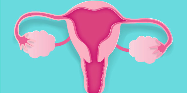 Resettoscopia, le 5 cose da sapere sull'operazione che "pulisce" l'utero Resettoscopia, le 5 cose da sapere sull'operazione che "pulisce" l'utero