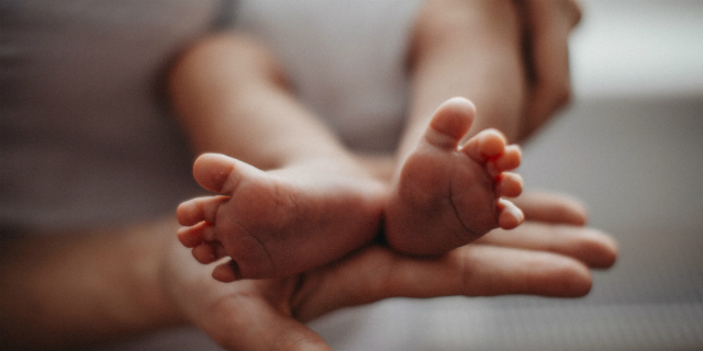 Denatalità, l'allarme dei neonatologi: "Necessario invertire la tendenza" Denatalità, l'allarme dei neonatologi: "Necessario invertire la tendenza"