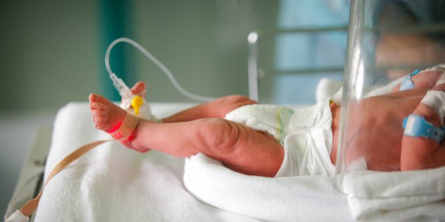 Neonati prematuri, ogni anno in Italia nascono 32mila "piccoli guerrieri" Neonati prematuri, ogni anno in Italia nascono 32mila "piccoli guerrieri"