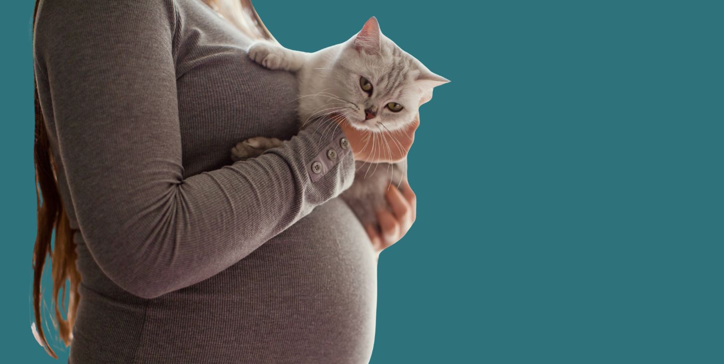 Cani e gatti “sentono” davvero in anticipo la gravidanza della loro amica umana? Cani e gatti “sentono” davvero in anticipo la gravidanza della loro amica umana?