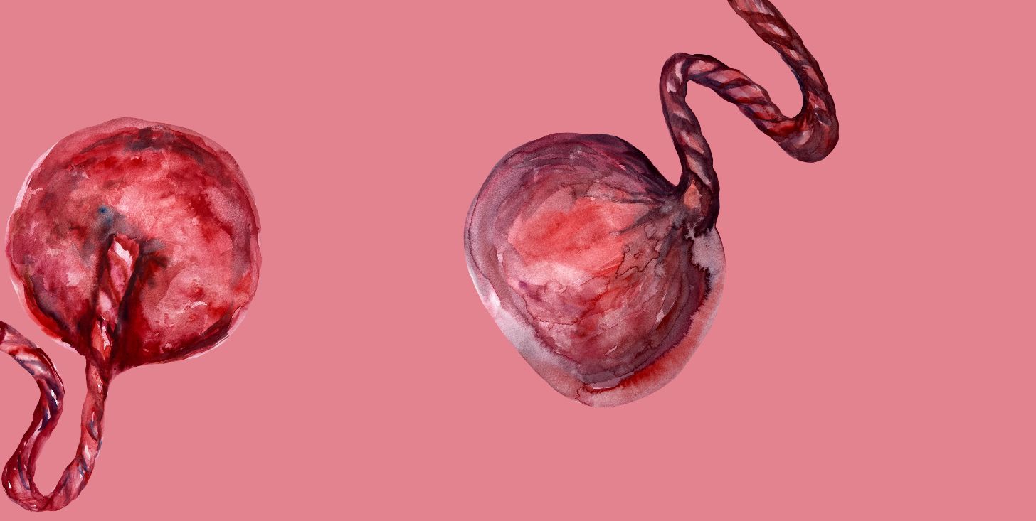 Cos’è l’impronta della placenta che ha fatto anche Ludovica Valli e come si fa