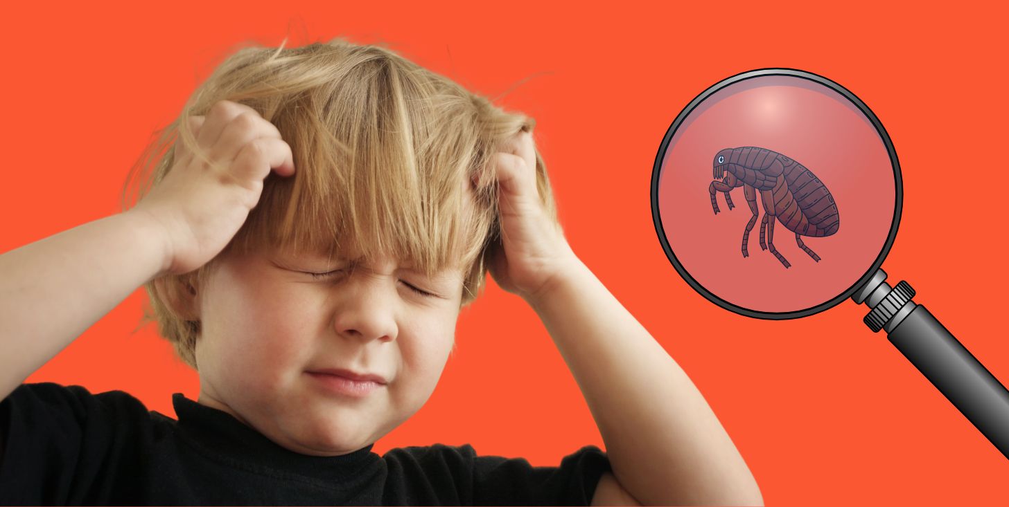 come evitare che i bambini prendano i pidocchi